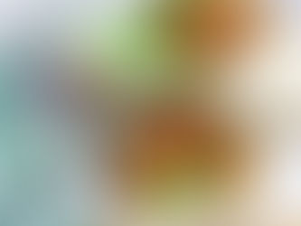 Thai-inspired chicken wrap