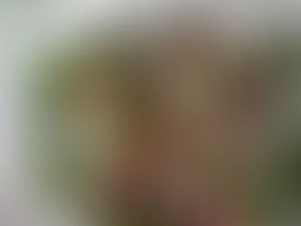 Fig and Goats Cheese Salad