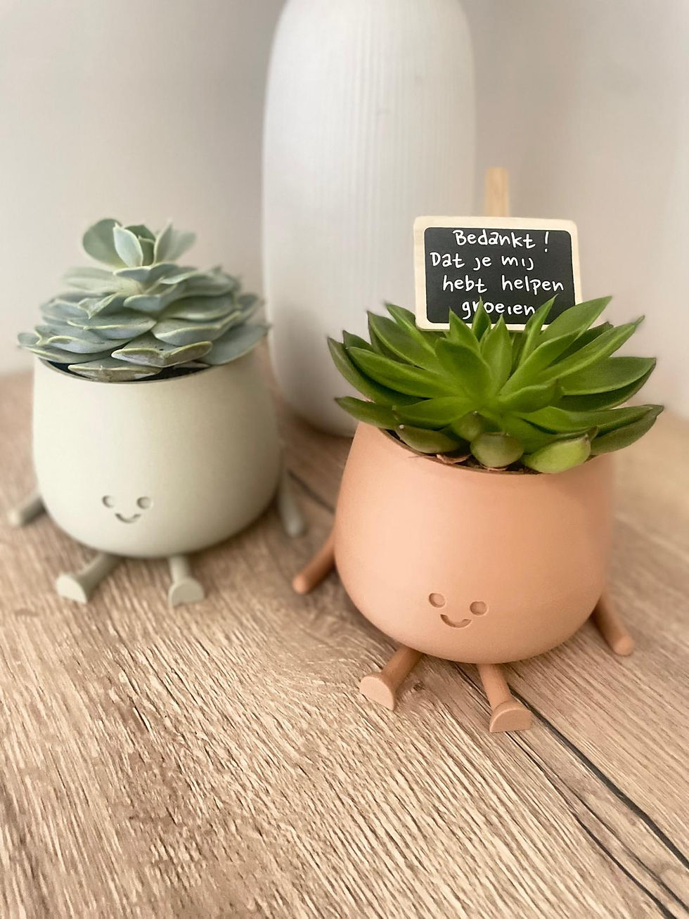 Friendly plantpotjes