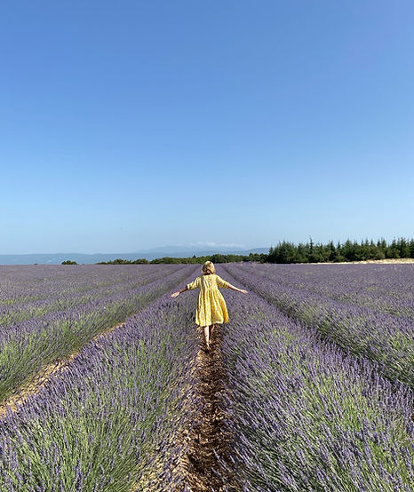 Woman in a Lavender Field in Provence