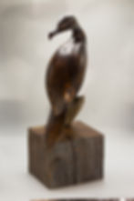 Thumbnail: Cormorant