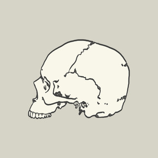 SKULLCARTE.jpg