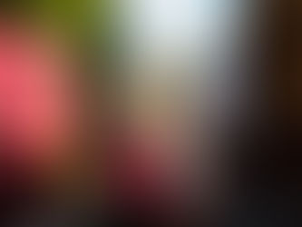 Llevando los Bienes Raíces en San Miguel de Allende