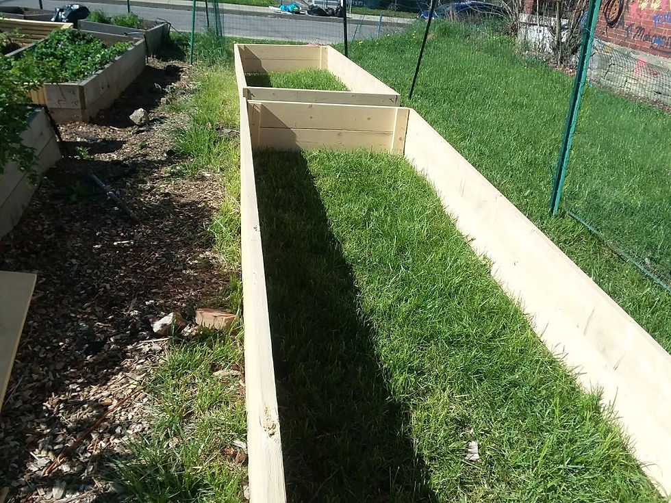 Constructing grow beds.