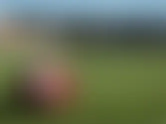 Talking Tua: How Tagovailoa’s Concussion Once Again Spotlights Insurance Policies in NFL Contracts