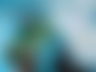 Calculate Customer Acquisition Cost & Net Profit for your Business