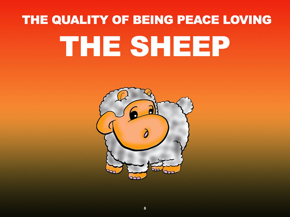 Sheep