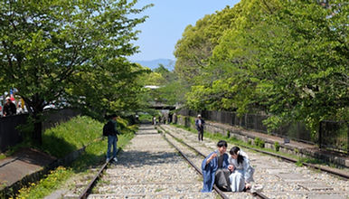 PXL_20250426_034805070.jpg