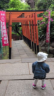 PXL_20250421_233540867.jpg