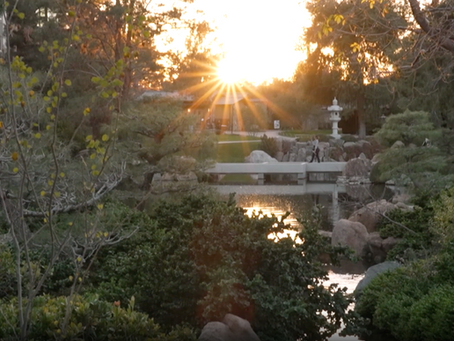 Shinrin‑yoku: Arizona Highways Features Forest Bathing at the Japanese Friendship Garden
