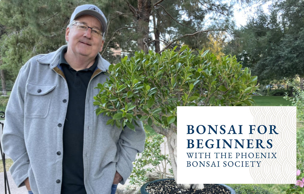 Bonsai for Beginners