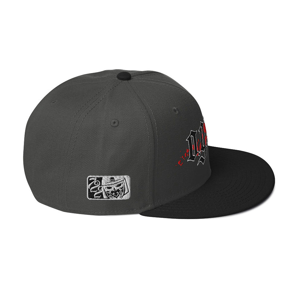 Thumbnail: GV Old Gods New Ways Snapback Hat