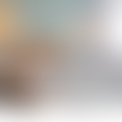 dormitorul unui apartament din pipera