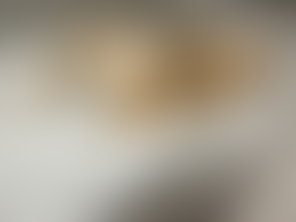 Puppy socialisation checklist