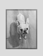 Untitled design-5 copy 2.jpg