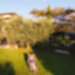 A woman typing on a laptop in a lounge chair in the garden