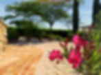 Dark pink oleander flowers with a garden in the background