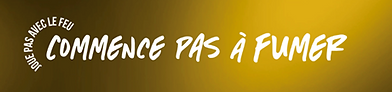 ImageGen (1).png