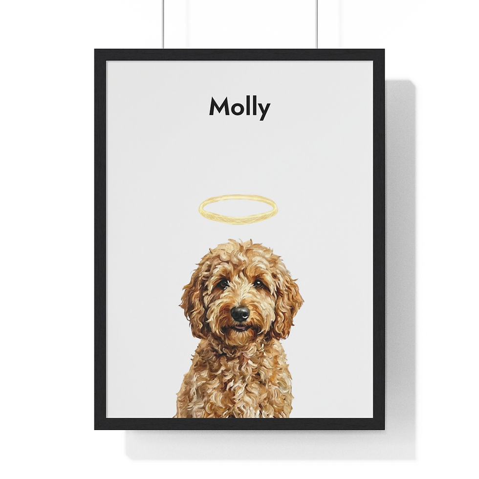 Molly Memorial White Background Black Frame.png