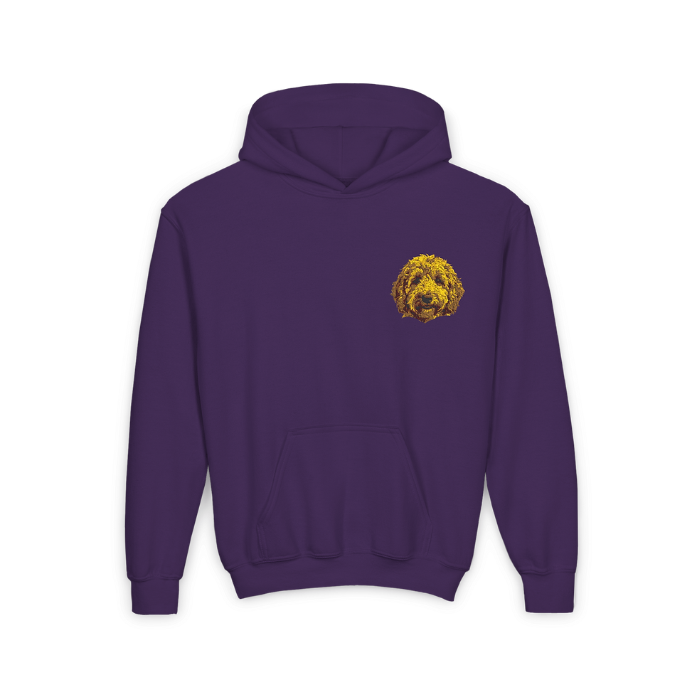 Thumbnail: Youth Unisex Embroidered Hoody