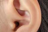 5041905_s.jpg