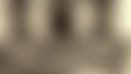 História da AEP (1953-1963)