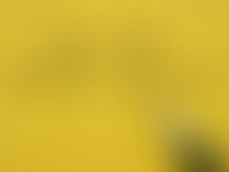 Thank you for 2019 Donations