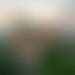 Dia Mundial de Oração pela Igreja na China