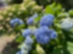 20260525IMG_7507