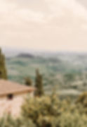 DEL WEDDINGS European Wedding Planner Daniela Schwarz