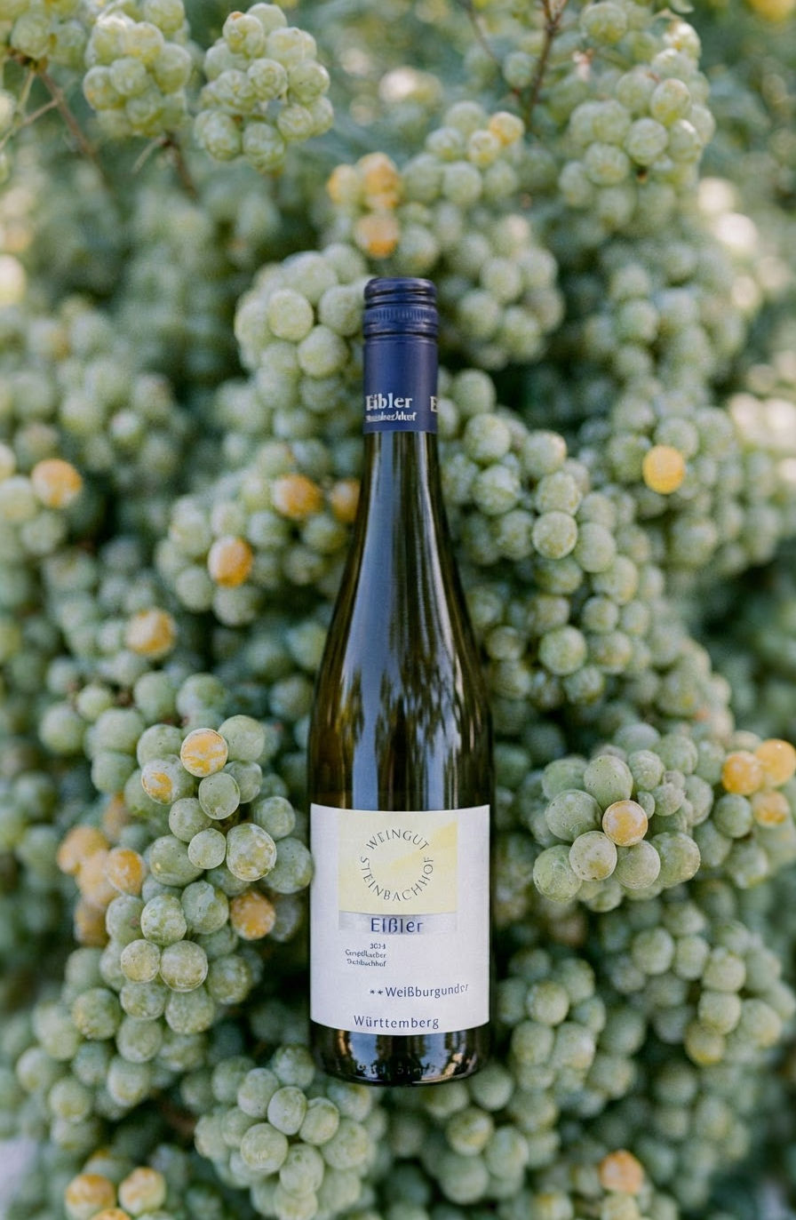 steinbachhof-wein-weinflasche-010.png