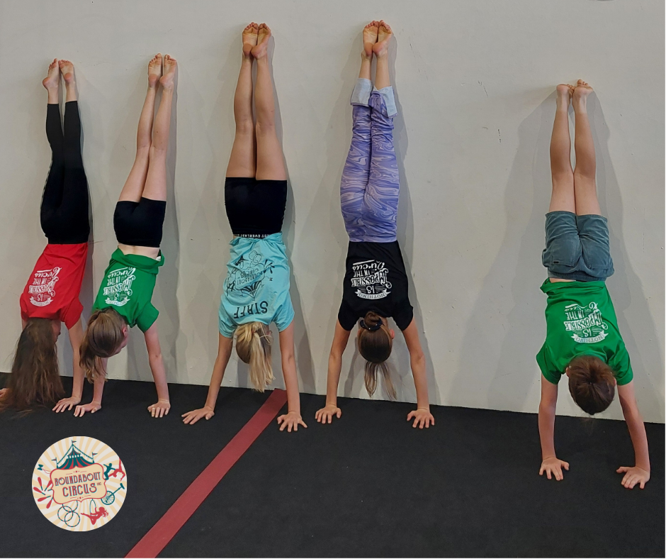 What's happening at Roundabout Circus Gosford