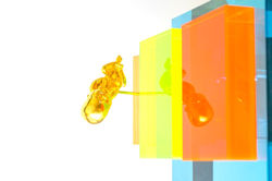 Fetus (1 von 1)-2_edited