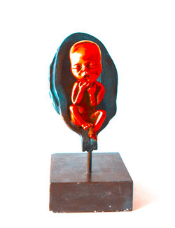 DSC_0485_2_orange2-13