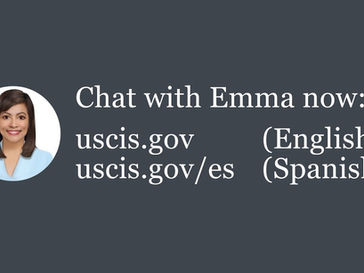 Как подать экспедайт в USCIS через Эмму