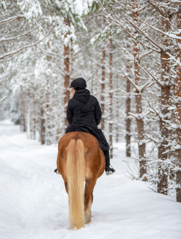 Horseback riding in the snow