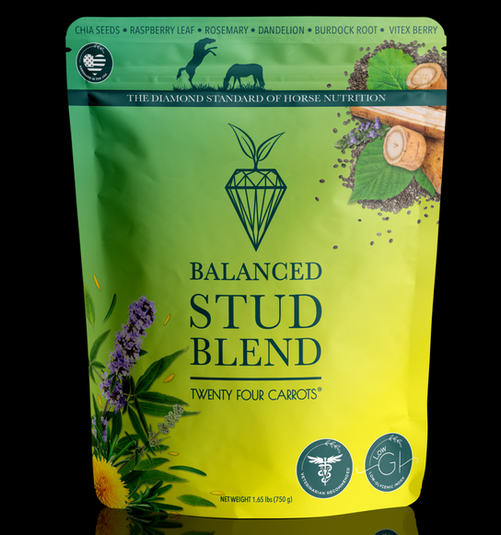 best supplement for stallions - stud blend food