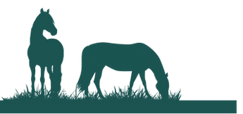 two horses grazing - horse nutritional treats and supplements made in california