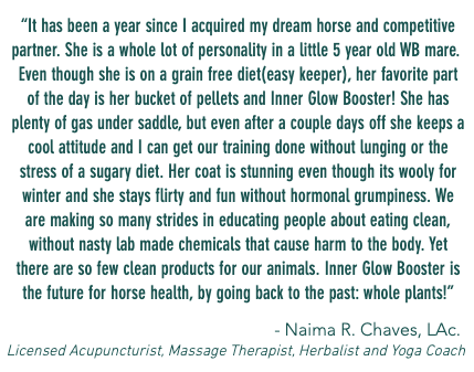 Show Barns Horse Nutrition - Twenty Four Carrots Natural Equine supplements