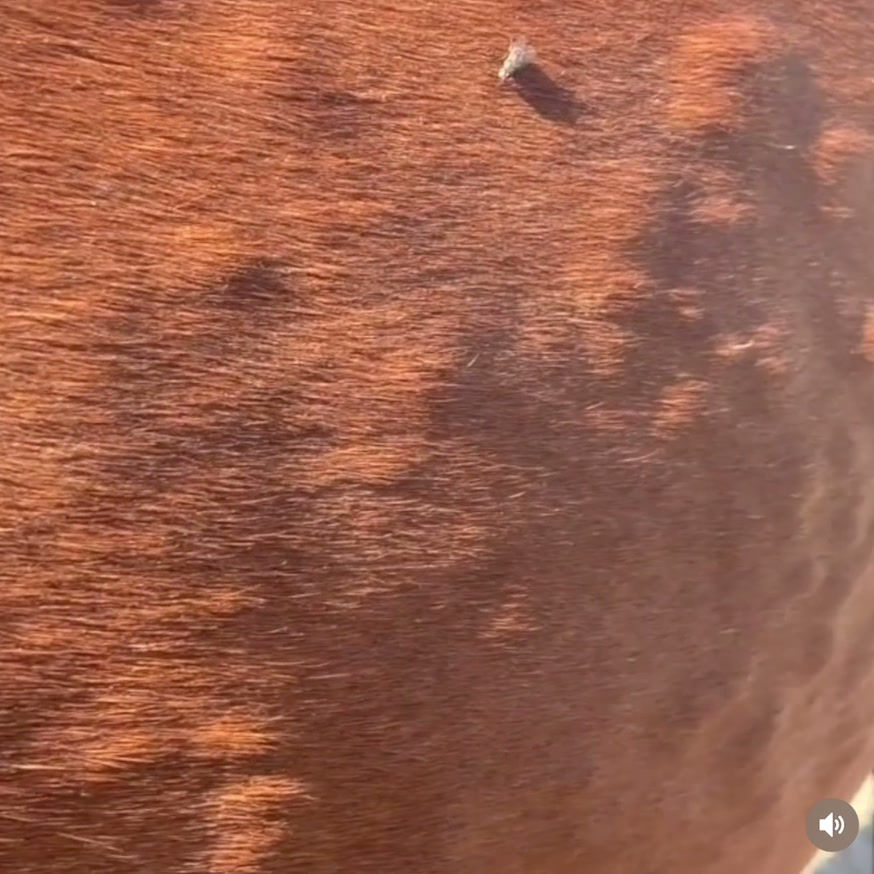 Thumbnail: Pure Allergy Relief