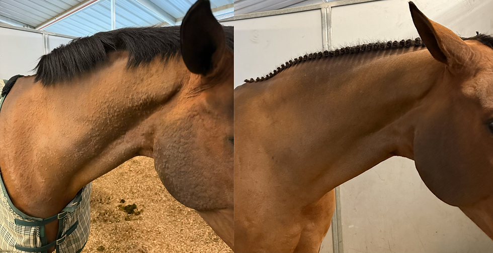 BEFORE AFTER HIVES Pure Allergy Relief.png