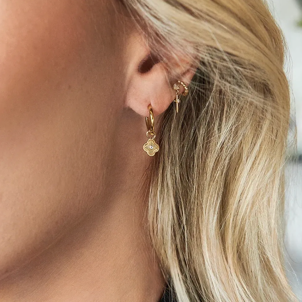 Thumbnail: Paula II Huggie Earrings