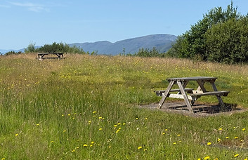 The garden at Inchree, July 2026