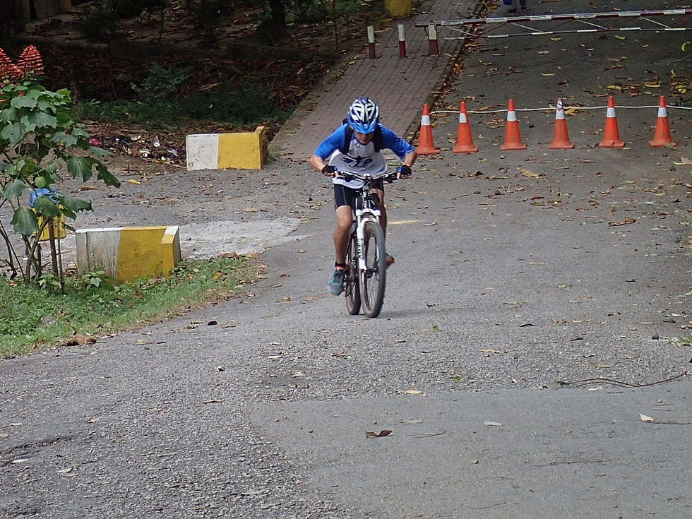 Paloh to Bekok