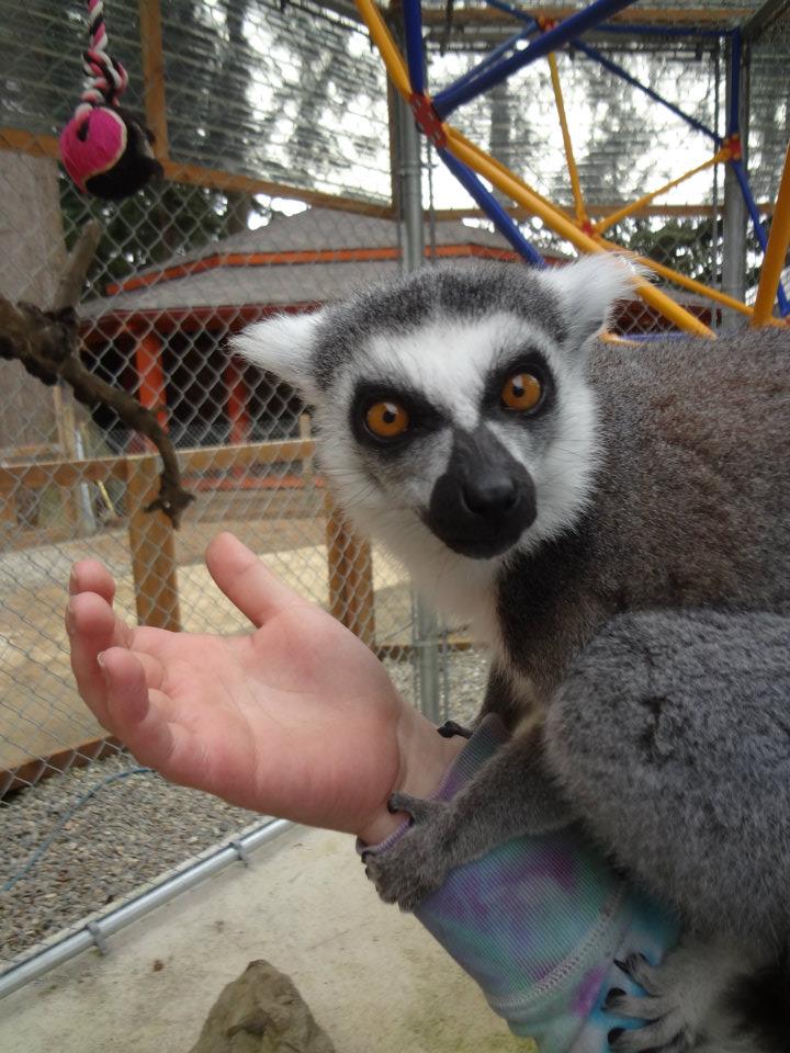 West Coast Game Park Safari