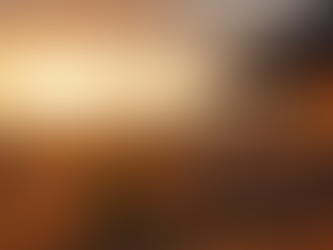 Planning the Perfect African Wildlife Safari: Your Ultimate Wildlife Safari Planning Guide