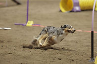 Nerys running in dirt Champs 2023.jpeg