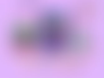 książka na półce