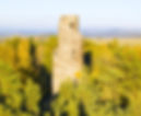watchtower reports.webp