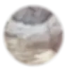 MAPLE.webp